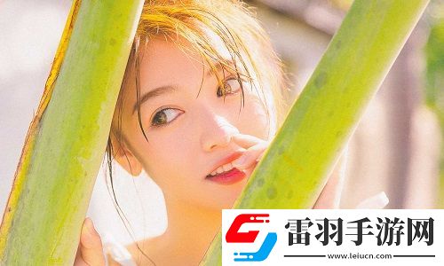 免費(fèi)開(kāi)放的api大全