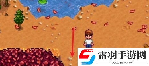 星露谷物語鎮(zhèn)長(zhǎng)紫色短褲位置在哪