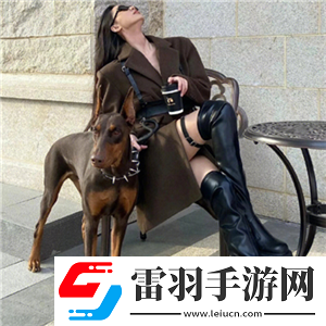 layuiadmin源碼免費(fèi)