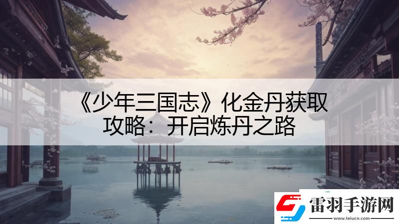 少年三國(guó)志化金丹獲取攻略
