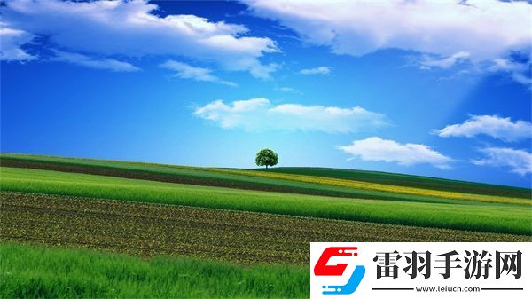 歐產(chǎn)日產(chǎn)國(guó)產(chǎn)水蜜桃