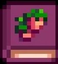 星露谷物語圖書擴(kuò)充mod介紹