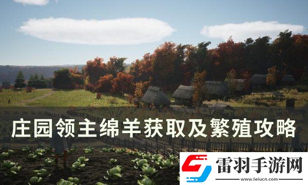 莊園領(lǐng)主綿羊怎么獲得