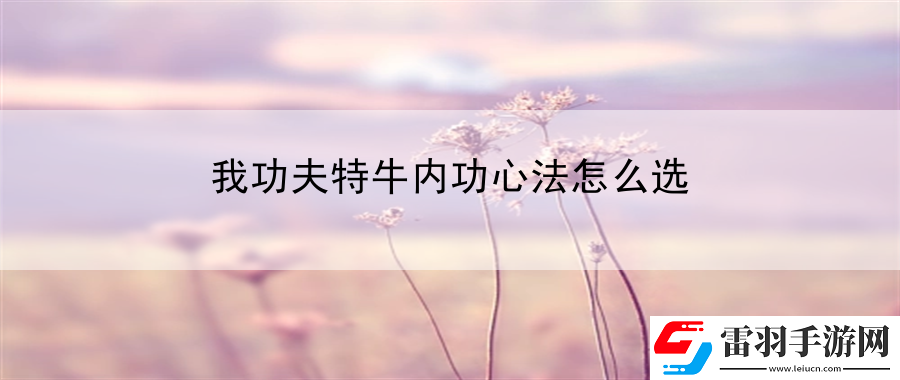我功夫特牛內(nèi)功心法怎么選