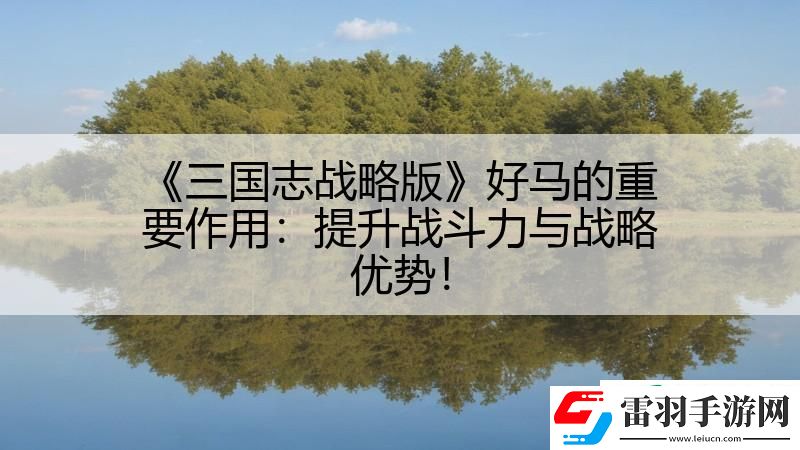 三國志戰(zhàn)略版好**重要作用