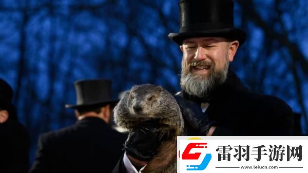 結果顯示