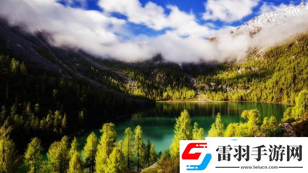 龍珠超