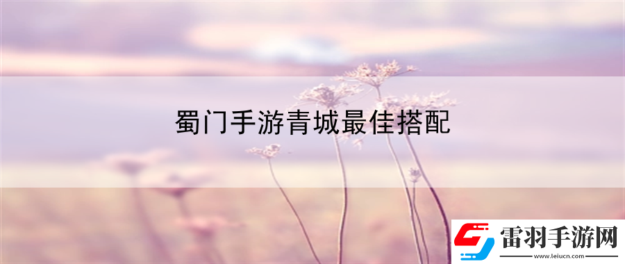 蜀門(mén)手游青城最佳搭配