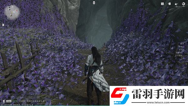 燕云十六聲佛花與鼠任務怎么過