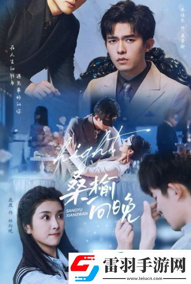 桑榆向晚劇情簡(jiǎn)介