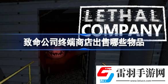 致命公司終端商店出售哪些物品