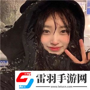 歐美VPSWINDOWS極品