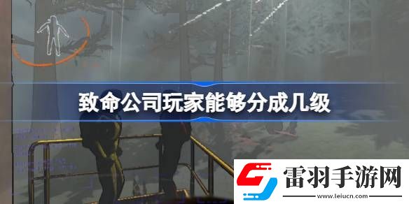 致命公司玩家能夠分成幾級(jí)