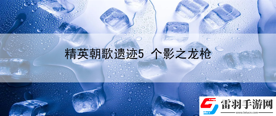 精英朝歌遺跡5個影之龍槍