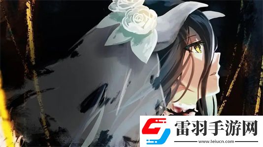 成品網(wǎng)站5668入口的功能介紹