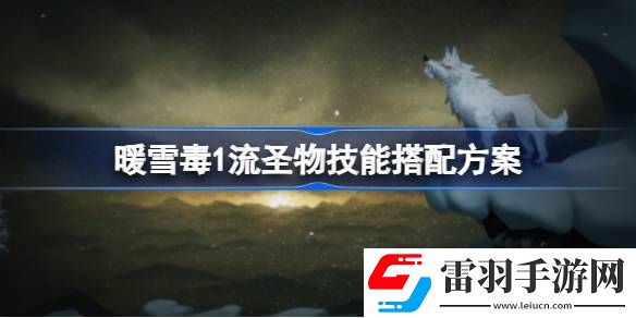 暖雪毒1流圣物技能怎么搭配