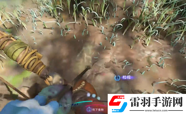 阿凡達潘多拉邊境奪命狩獵支線任務(wù)怎么做