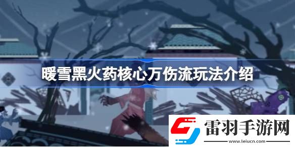 暖雪黑火藥核心萬傷流怎么玩