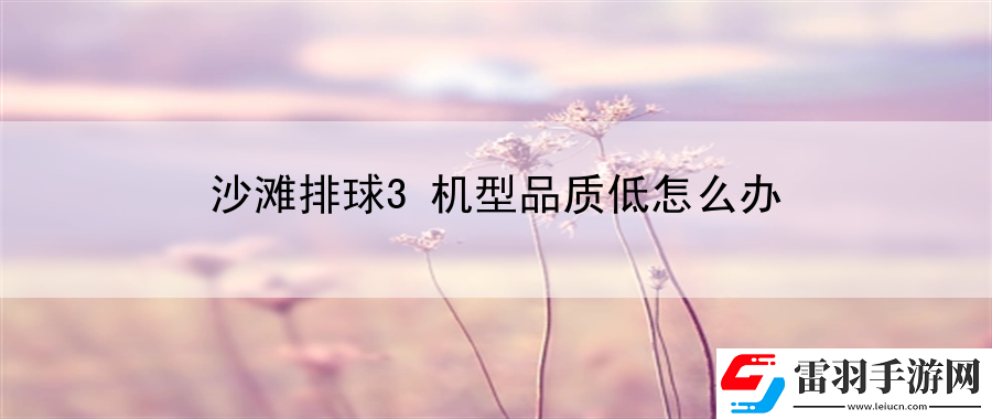沙灘排球3機(jī)型品質(zhì)低怎么辦