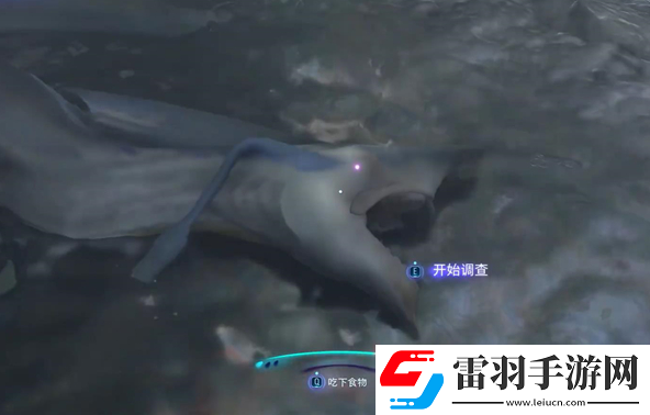 阿凡達潘多拉邊境奪命狩獵支線任務(wù)怎么做