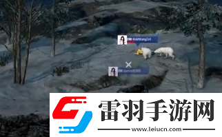 pubg狗熊殺職業(yè)選手是怎么回事