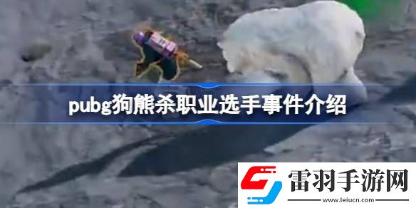 pubg狗熊殺職業(yè)選手是怎么回事