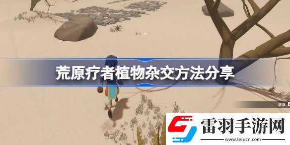 荒原療者植物雜交方法分享