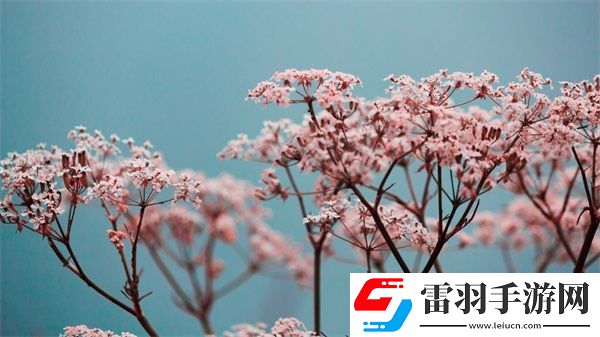 10款成品短視頻app下載安裝