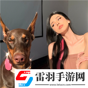 一級(jí)成色好的y31s標(biāo)準(zhǔn)版