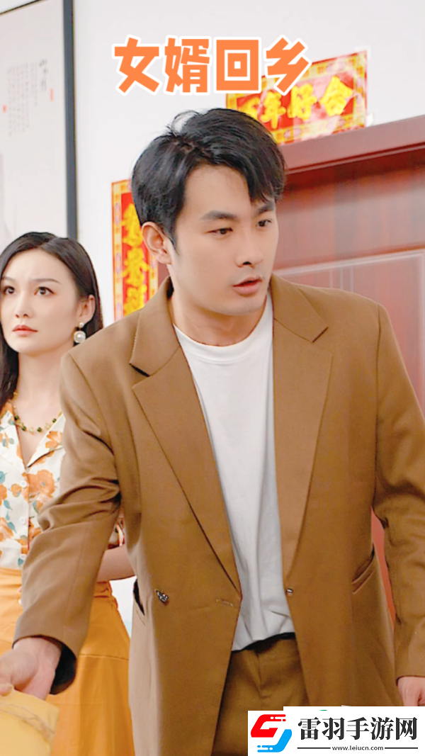 女婿回鄉(xiāng)劇情簡介