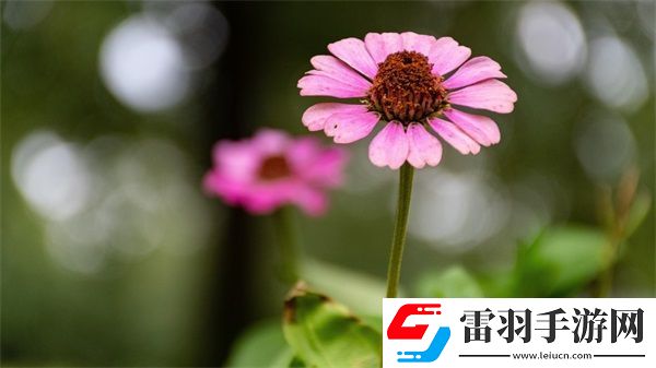 69精華國產(chǎn)精華液好用嗎