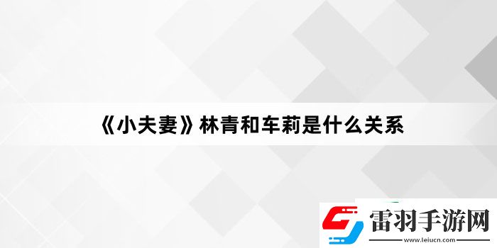 小夫妻林青和車?yán)蚴鞘裁搓P(guān)系