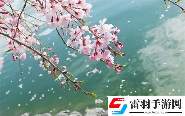 歐美無(wú)人區(qū)碼SUV