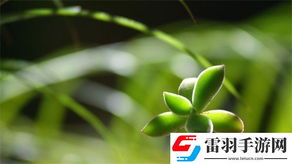 成免費(fèi)CRM播放模式的特點(diǎn)