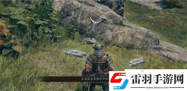 艾爾登法環(huán)怎么聯(lián)機(jī)