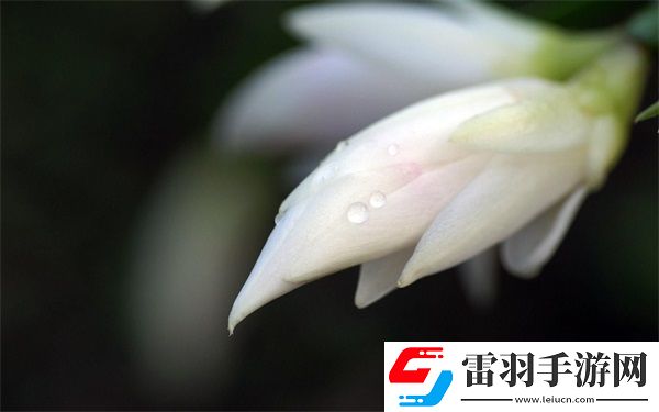 老公說(shuō)她想嘗試多人怎么回復(fù)她呢