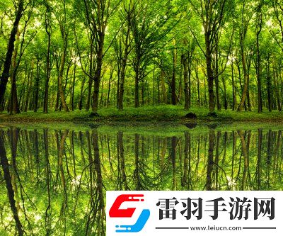 單身男女觀看免費(fèi)完整版：在愛(ài)與孤獨(dú)之間，讓你感受不一樣的心動(dòng)時(shí)刻！