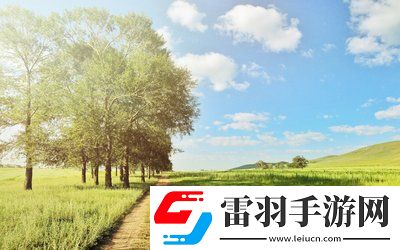 液體收集器系統(tǒng)HH的安裝指南：準(zhǔn)備到完成，確保每一步都精準(zhǔn)無(wú)誤！