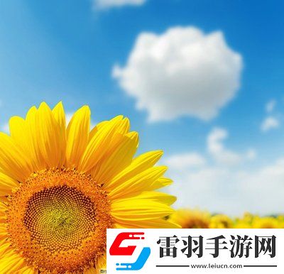 日本尺碼與亞洲尺碼區(qū)別的奧秘：服裝尺碼的文化差異，找到適合自己的完美尺寸！
