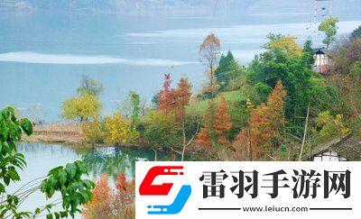 老牛影視文化傳媒有限公司官方：匠心打造精品影視，開啟文化新紀(jì)元！