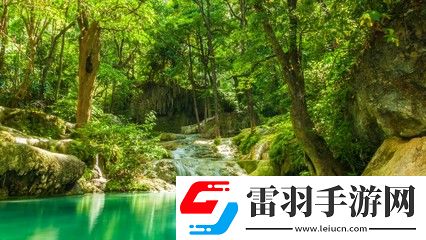 x7x7任意噪入口直達(dá)大象：探索無(wú)盡可能的數(shù)字世界，暢享驚奇與樂(lè)趣！