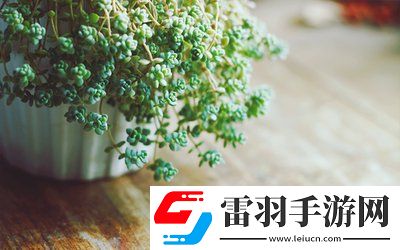 校園pop1n高中多場地文，青春無敵,網(wǎng)友：帶你走進(jìn)多場地高中的精彩紛呈！