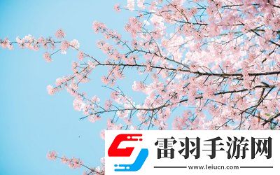 日本插槽x8是正規(guī)還是仿：設(shè)計(jì)到性能的認(rèn)識，避免踩坑你需要知道的一切！