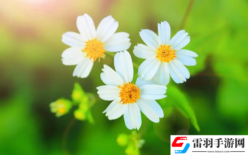 姬小滿拿槍獎(jiǎng)勵(lì)自己核心提示，網(wǎng)友：意想不到的故事背后竟藏著深層次心理問題！