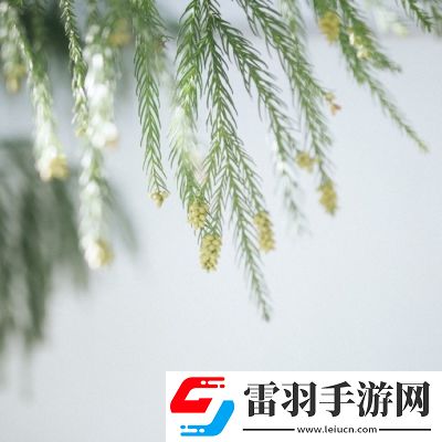 68式是怎么樣的圖片：文化傳承——感受經(jīng)典武器的魅力與時(shí)代精神！