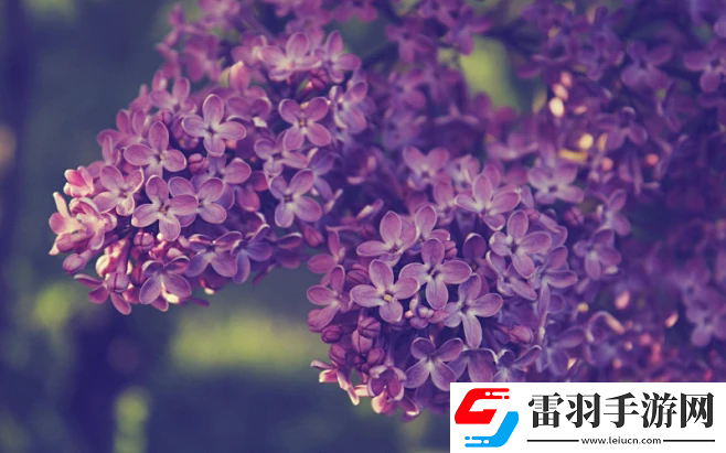 青椒影視2.6.5：無與倫比的觀影選擇——極致優(yōu)化與個性化推薦的完美結合！