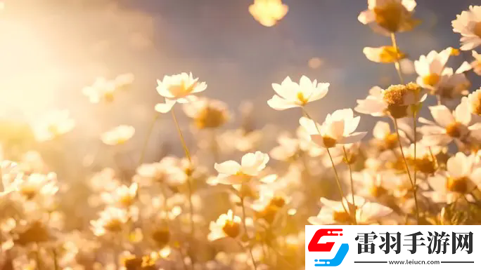 液體收集器系統(tǒng)HH的安裝指南：準(zhǔn)備到調(diào)試，一步步打造高效安全的生產(chǎn)環(huán)境！