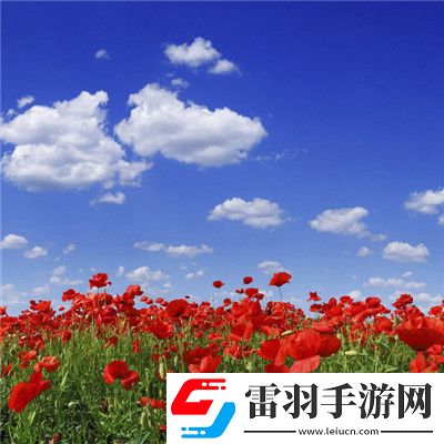 青椒影視2.6.5的全新功能：觀影體驗(yàn)優(yōu)化，解鎖流暢高清觀影體驗(yàn)的最佳選擇！