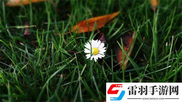 成品軟件大全免費下載安裝