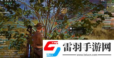 亞麻纖維獲得方法介紹